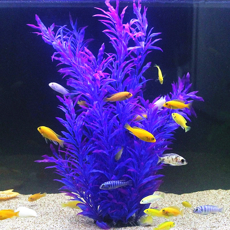 50CM Artificial Fish Tank Rare - Aquarium Fish Breeding のレビューと価格