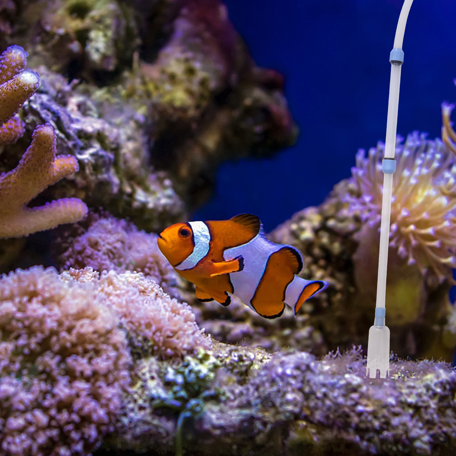 Fish Tank Cleaner Manual Vacuu - Gravel Vacuum Cleaner のレビューと価格