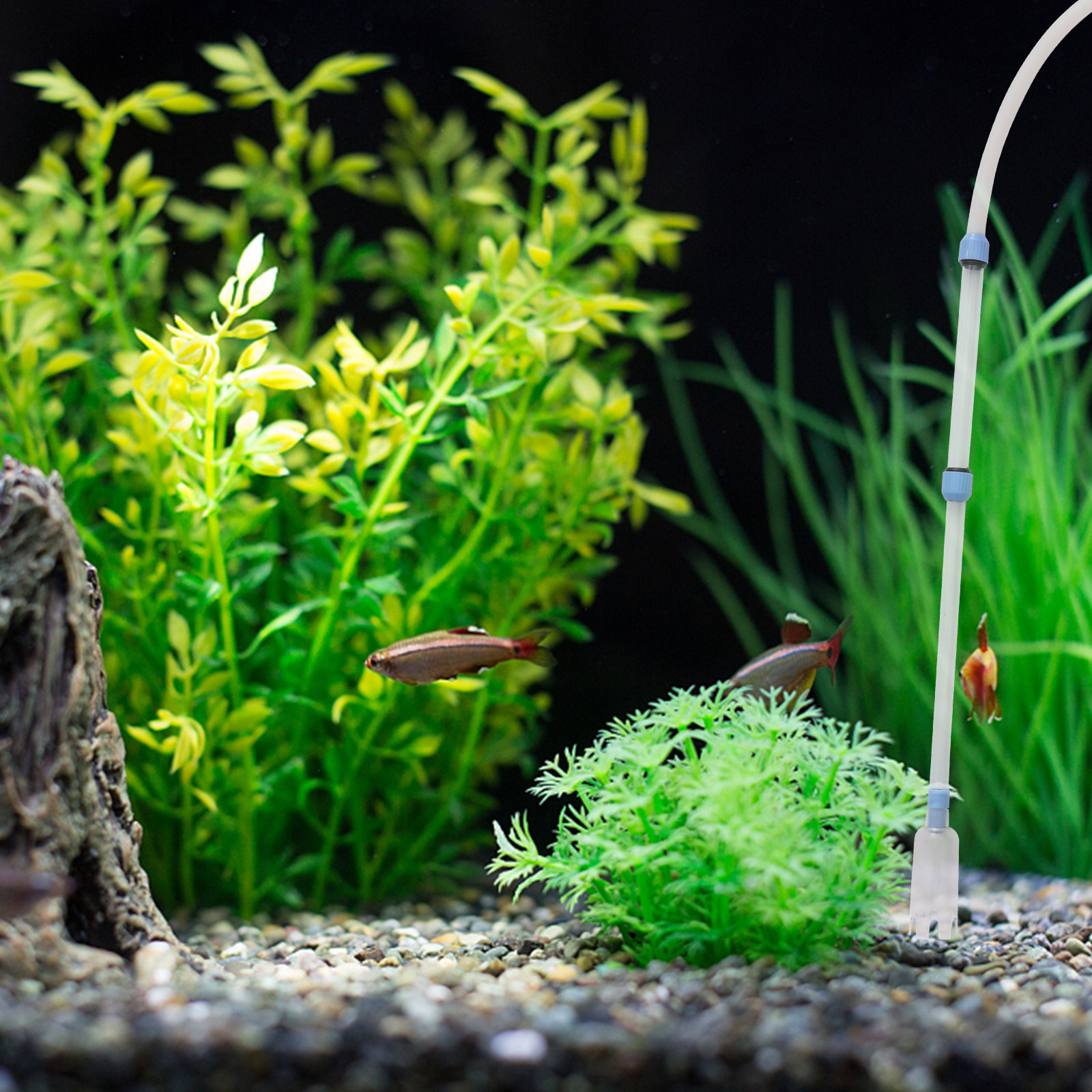 Fish Tank Cleaner Manual Vacuu - Gravel Vacuum Cleaner のレビューと価格